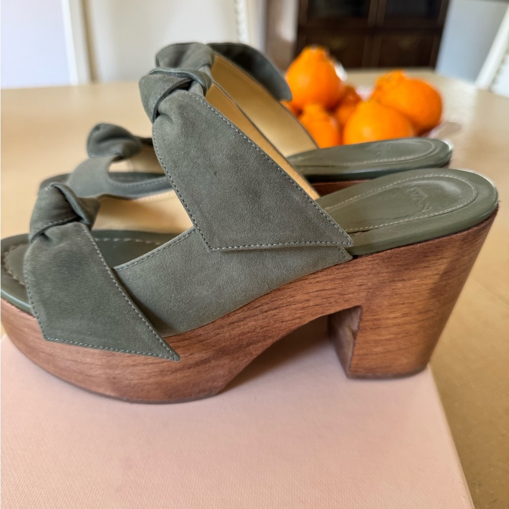 Alexandre Birman Green Tea Suede Platform Clogs